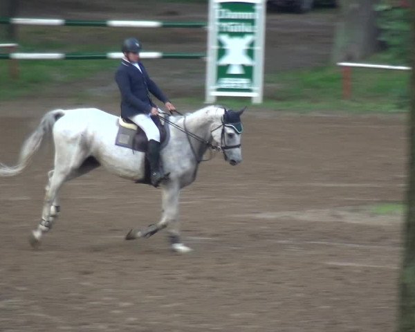 Reitturnier CSN Calvörde 2017