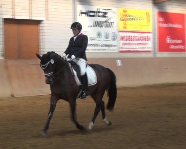 Reitturnier Gardelegen 2017