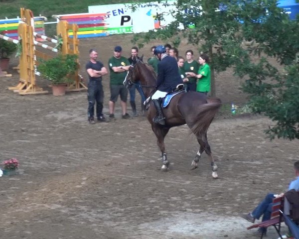 Reitturnier CSN Calvörde 2017