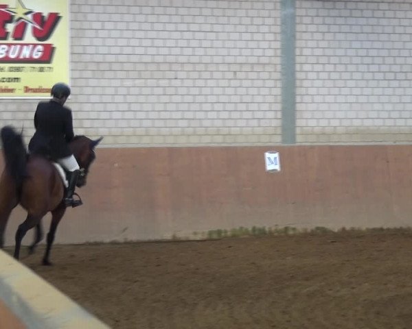 Reitturnier Gardelegen 2017
