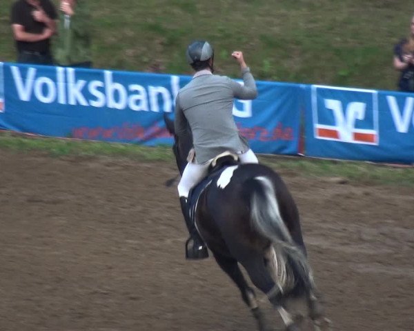 Reitturnier CSN Calvörde 2017