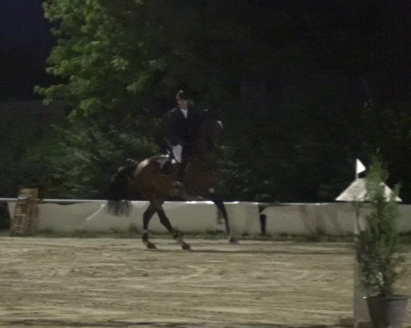 Reitturnier Neuss-Allerheiligen 2017