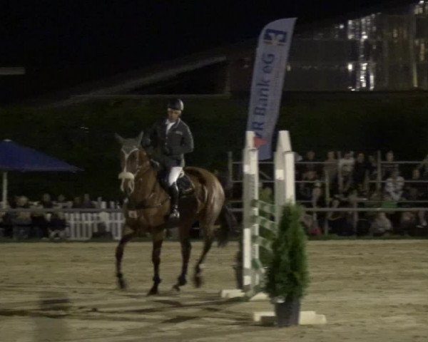 Reitturnier Neuss-Allerheiligen 2017