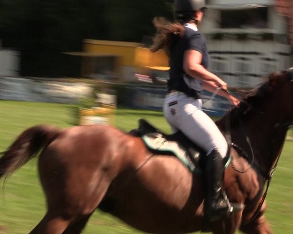 Reitturnier Vlotho-Exter 2017