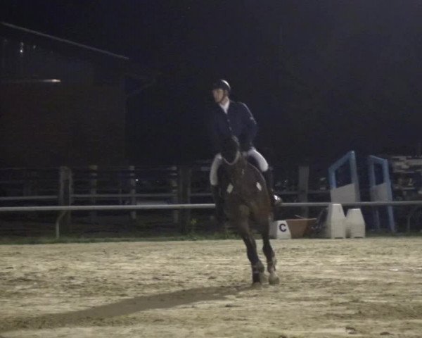 Reitturnier Neuss-Allerheiligen 2017