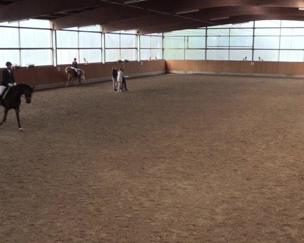 Reitturnier Herbern 2017