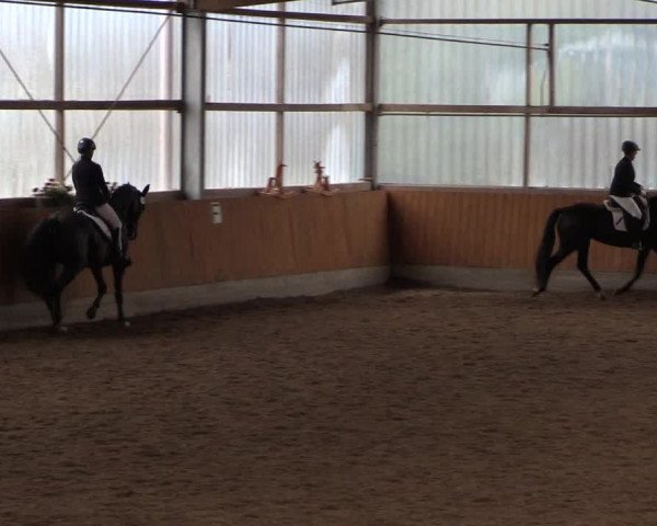 Reitturnier Herbern 2017