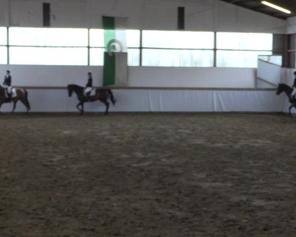 Reitturnier Waltrop 2017