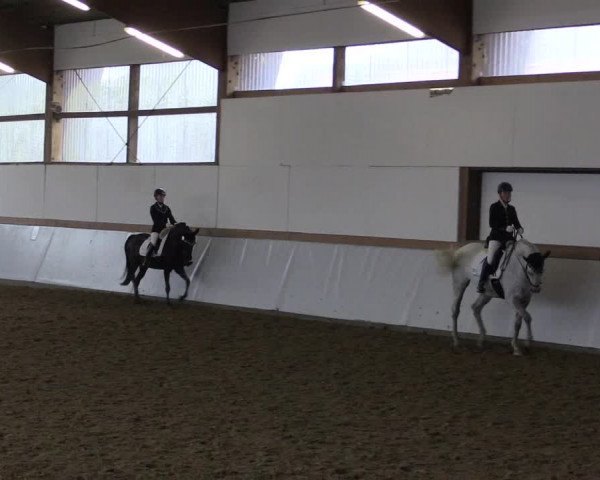 Reitturnier Waltrop 2017