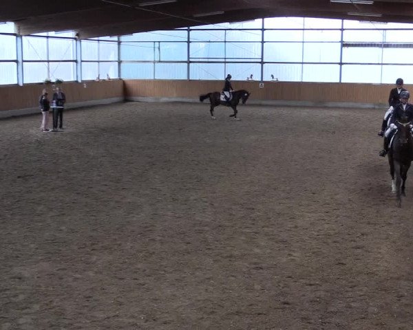 Reitturnier Herbern 2017