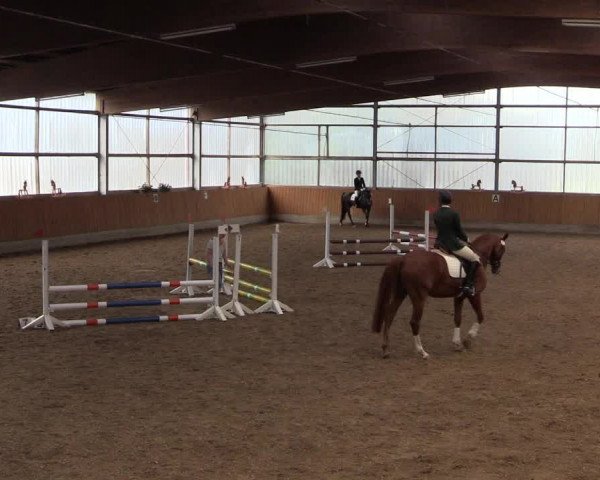 Reitturnier Herbern 2017