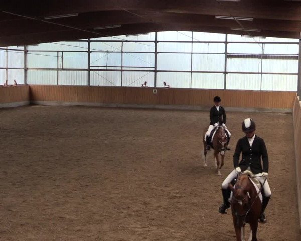 Reitturnier Herbern 2017
