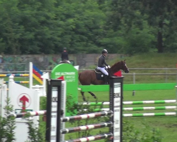 Reitturnier Gardelegen 2017