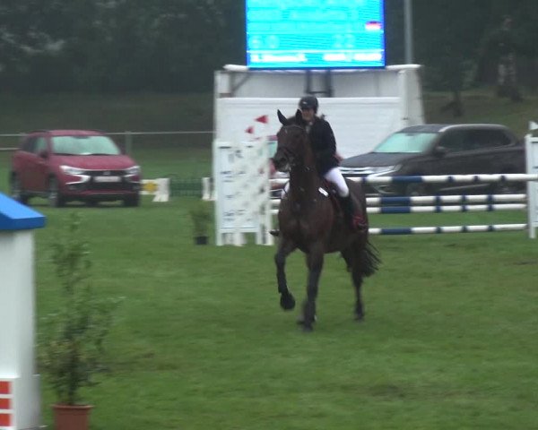 Reitturnier Gardelegen 2017