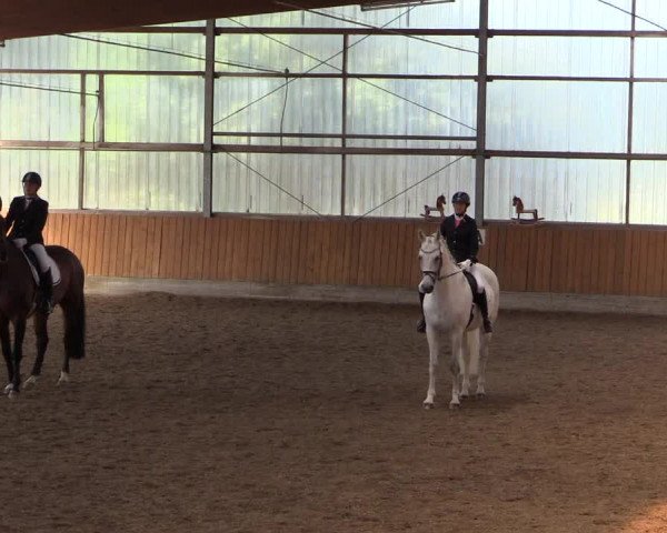 Reitturnier Herbern 2017