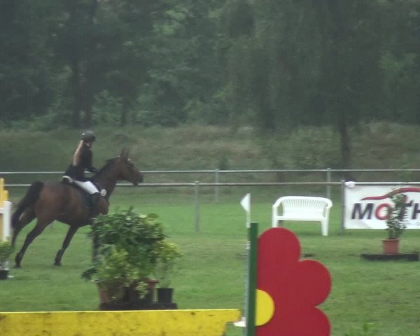 Reitturnier Gardelegen 2017
