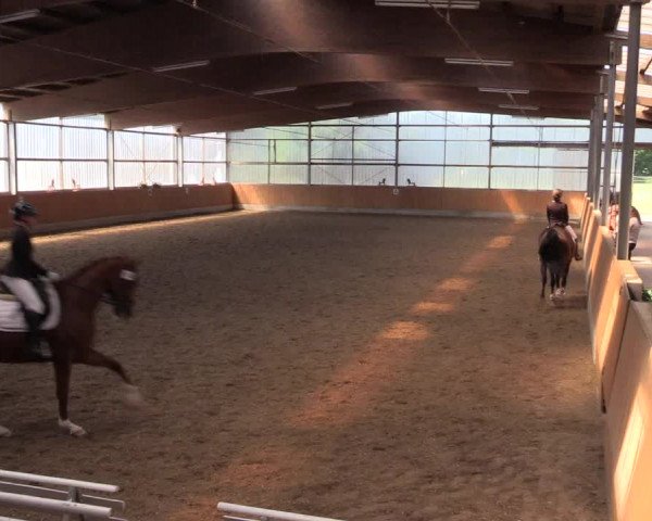 Reitturnier Herbern 2017