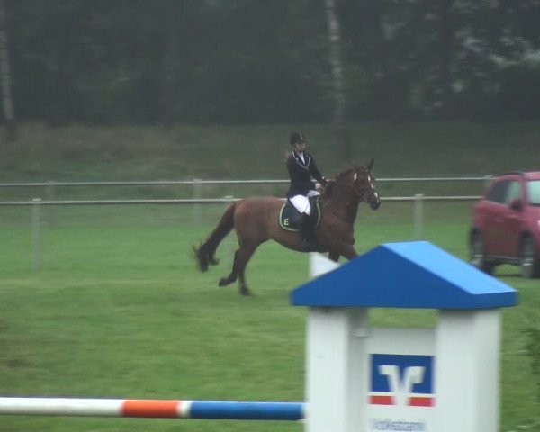 Reitturnier Gardelegen 2017