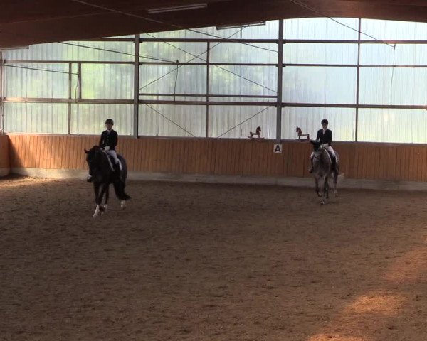 Reitturnier Herbern 2017