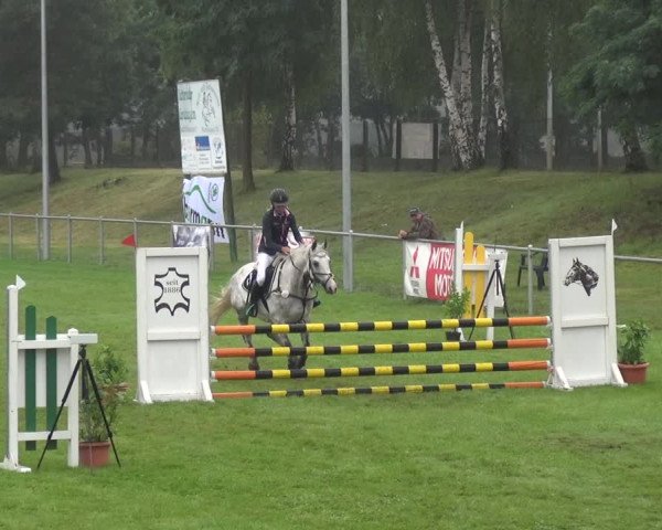 Reitturnier Gardelegen 2017