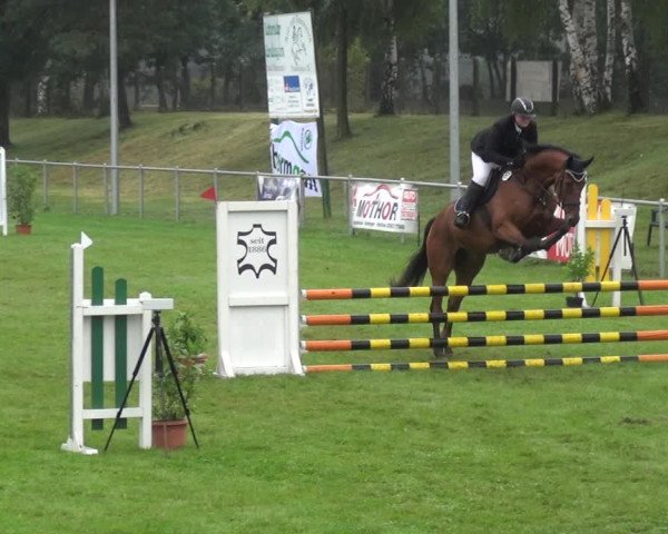 Reitturnier Gardelegen 2017