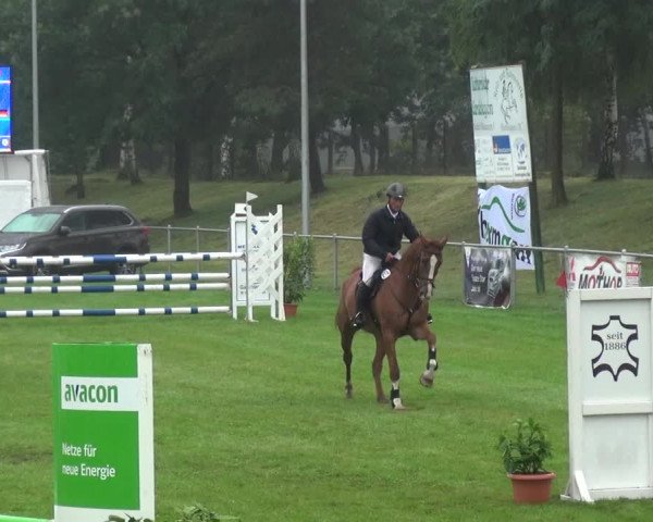 Reitturnier Gardelegen 2017
