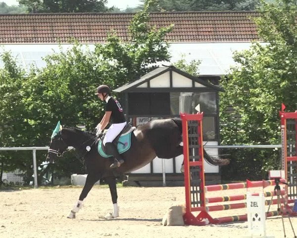 Reitturnier Fröhnerhof 2017