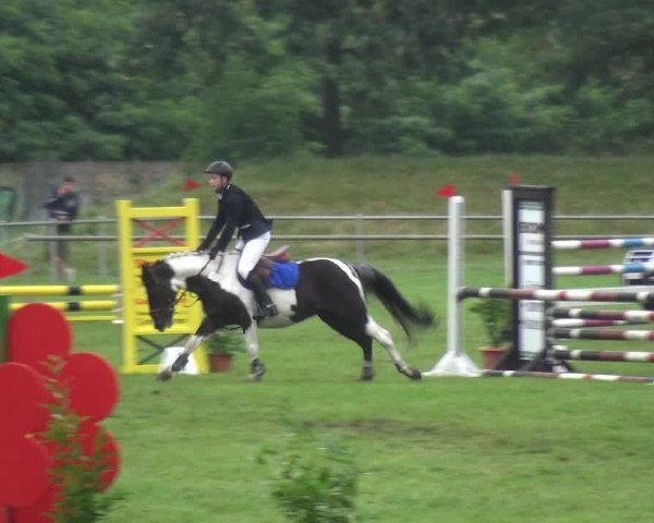 Reitturnier Gardelegen 2017