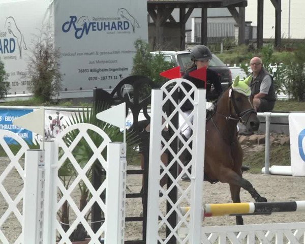 Reitturnier Fröhnerhof 2017