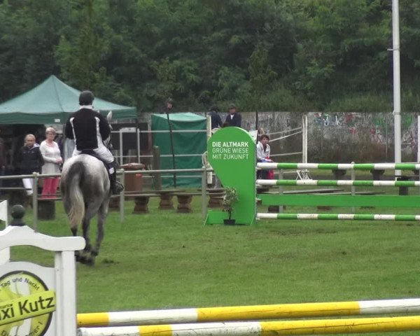 Reitturnier Gardelegen 2017