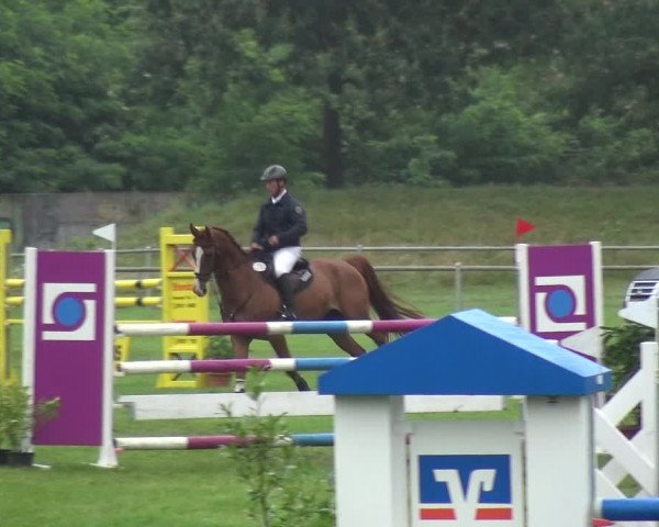 Reitturnier Gardelegen 2017