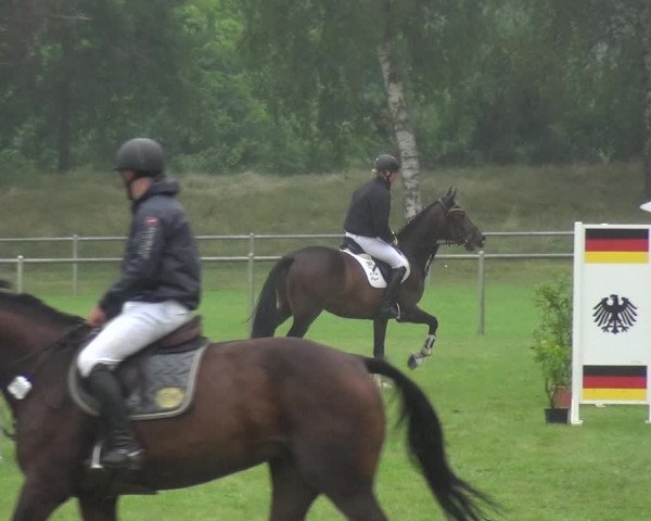 Reitturnier Gardelegen 2017