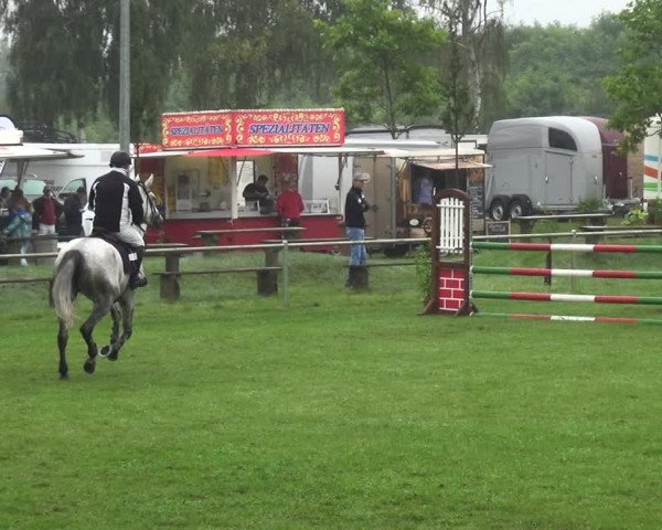 Reitturnier Gardelegen 2017