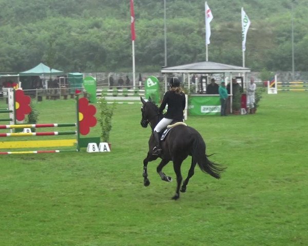 Reitturnier Gardelegen 2017