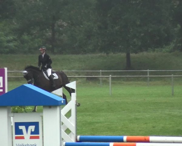 Reitturnier Gardelegen 2017
