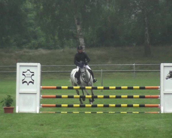 Reitturnier Gardelegen 2017
