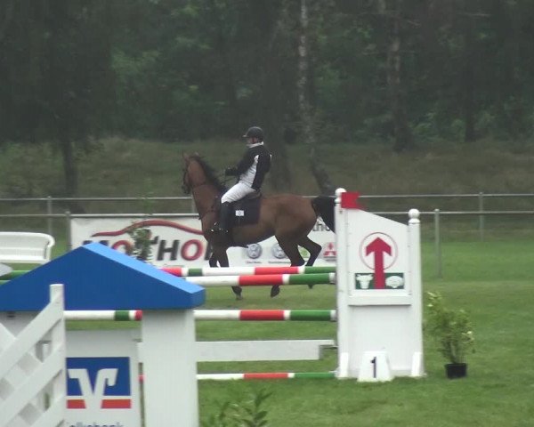 Reitturnier Gardelegen 2017