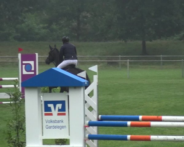 Reitturnier Gardelegen 2017