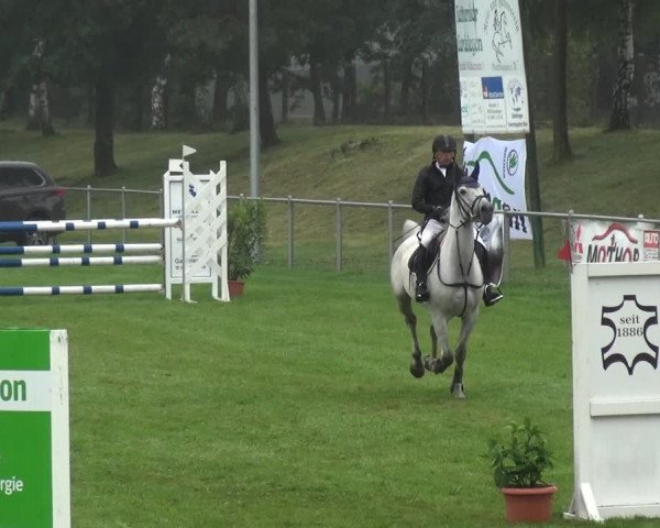 Reitturnier Gardelegen 2017