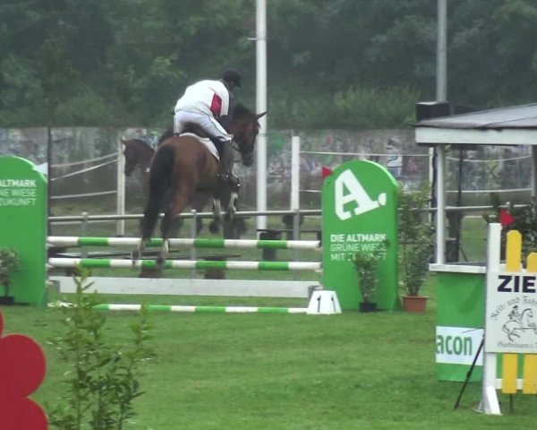 Reitturnier Gardelegen 2017