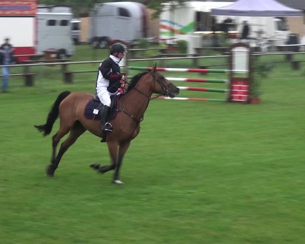 Reitturnier Gardelegen 2017