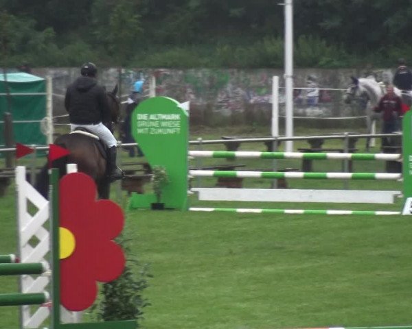 Reitturnier Gardelegen 2017