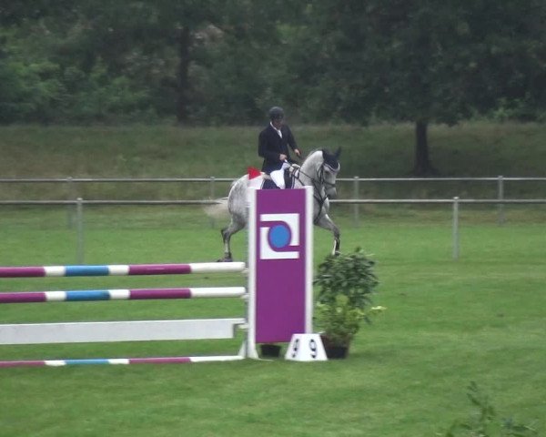 Reitturnier Gardelegen 2017