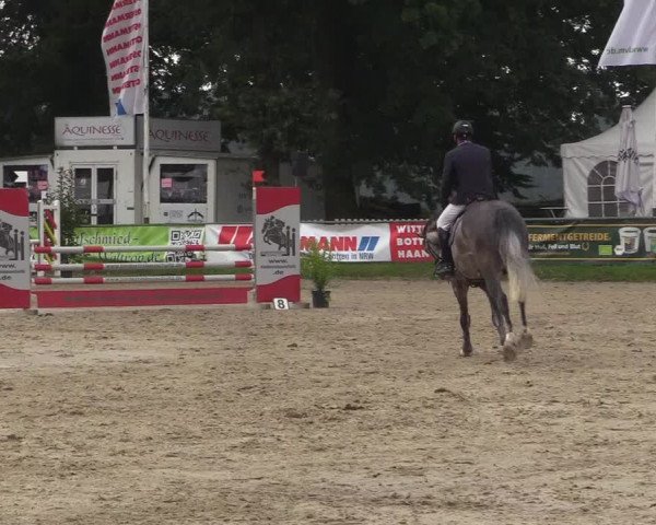 Reitturnier Datteln 2017