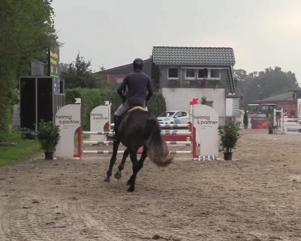 Reitturnier Datteln 2017