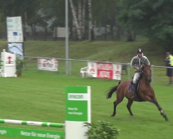 Reitturnier Gardelegen 2017