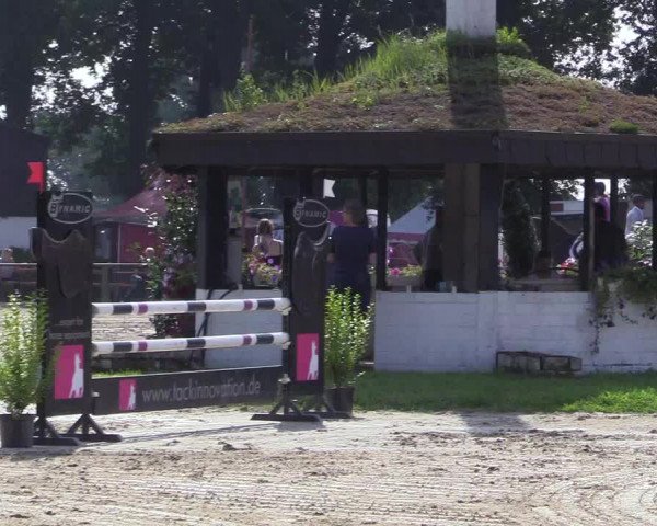 Reitturnier Datteln 2017
