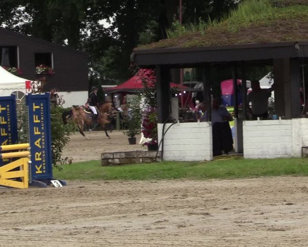 Reitturnier Datteln 2017