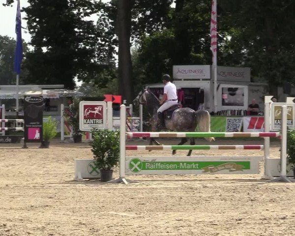 Reitturnier Datteln 2017