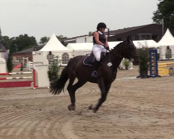 Reitturnier Datteln 2017